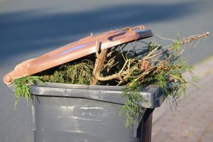 Bin with green waste